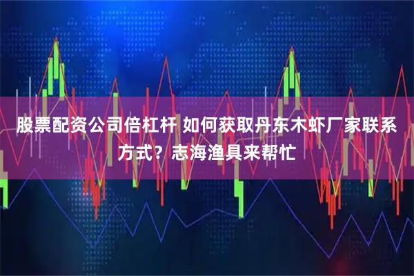 股票配资公司倍杠杆 如何获取丹东木虾厂家联系方式？志海渔具来帮忙