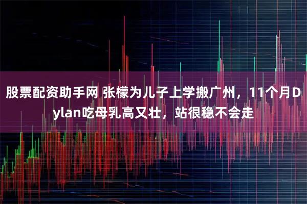 股票配资助手网 张檬为儿子上学搬广州,11个月Dylan吃母乳高又壮,站很稳不会走